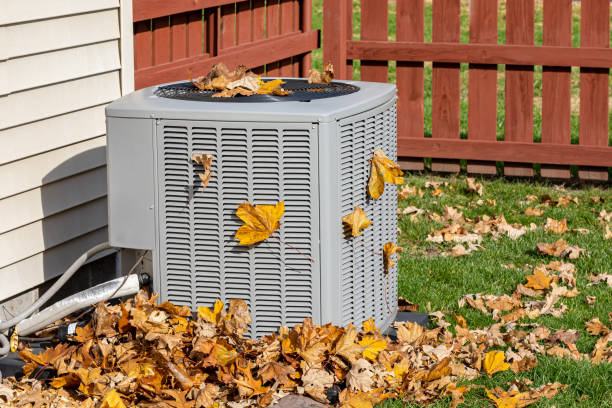 Best HVAC Air Duct Cleaning  in Mount Plymouth, FL